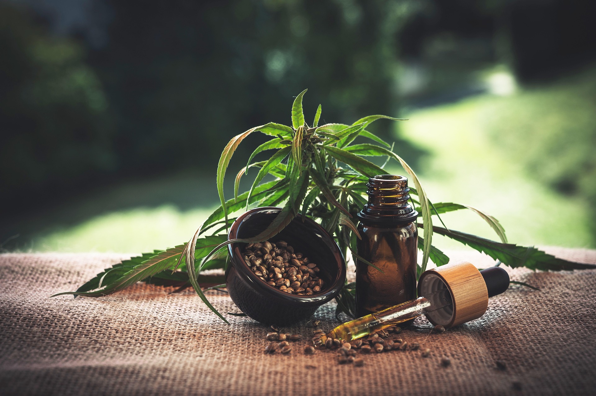 Holistic Wellness